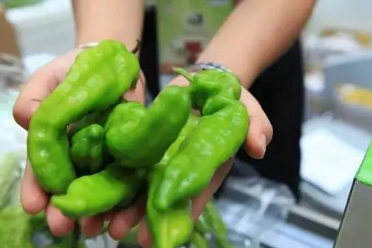 雙十一狂歡下，有機農產品能否依然“好酒不怕巷子深”？