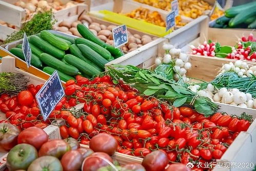 農產品B2B電商 顛覆傳統模式，開啟未來新篇章