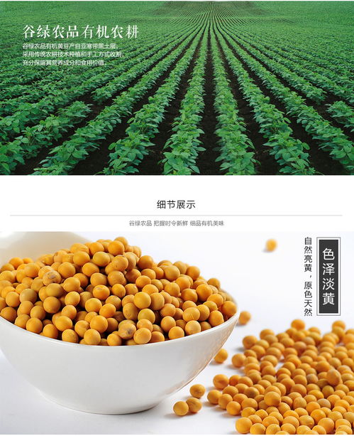 從一粒黃豆看中國農(nóng)產(chǎn)品產(chǎn)業(yè)的現(xiàn)代化發(fā)展之路