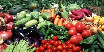 皖校食堂攜手，愛心采購助農惠學