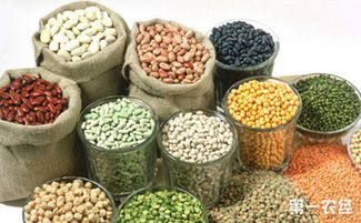 山西聚焦特色資源，擬10月確定20個獨有功能農產品品牌